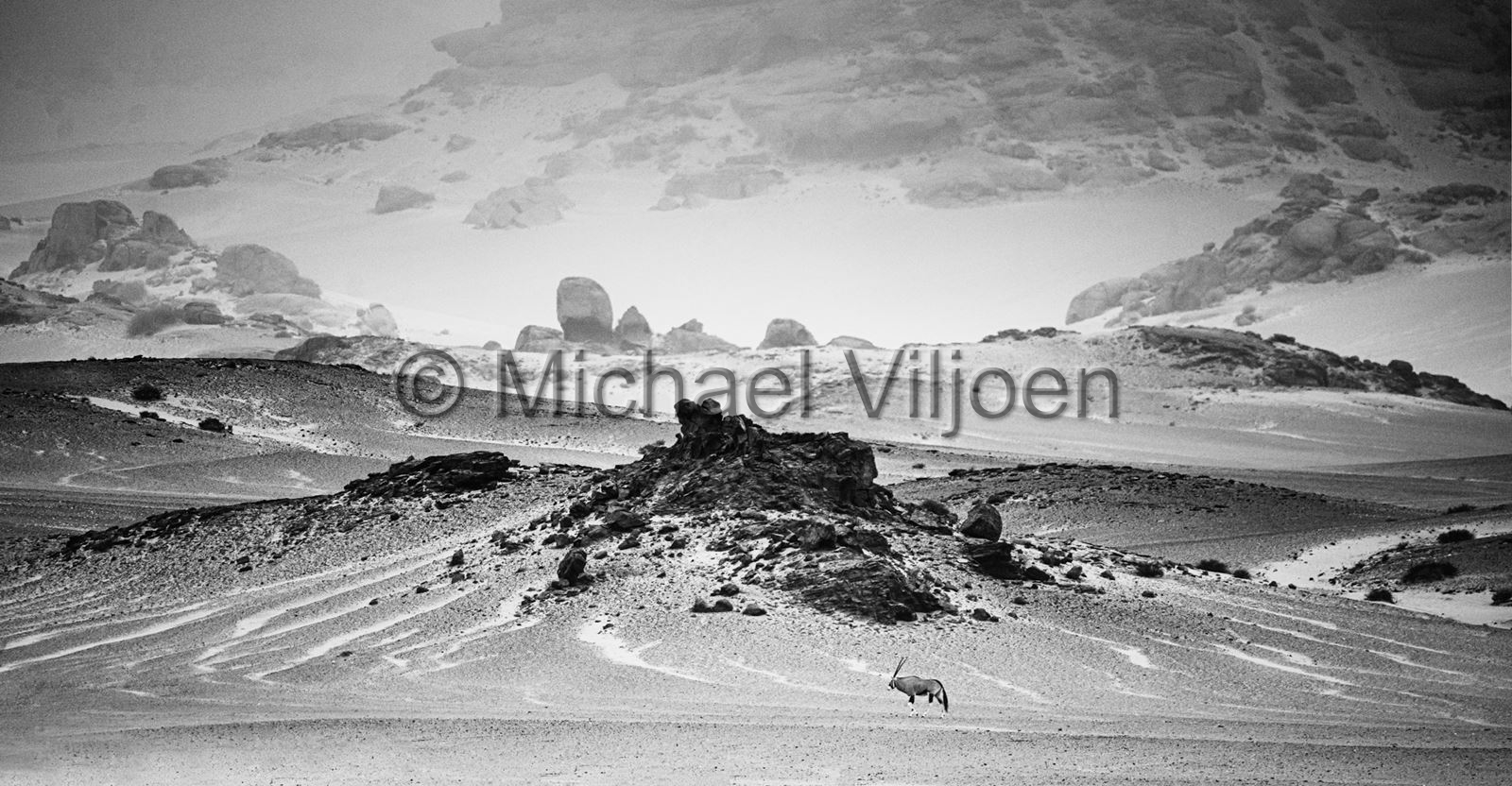 Black and White Photography